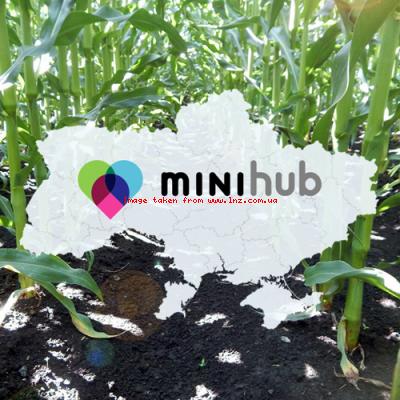 LNZ GROUP запрошує на всеукраїнську технологічну платформу MINI HUB