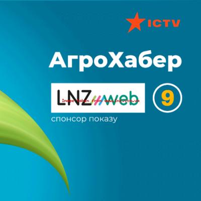 Як правильно збирати кукурудзу на силос, або корм для тварин - поради аграріїв