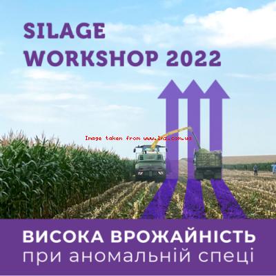 Silage Workshop 2022: яку врожайність кукурудзи вдалось отримати без опадів