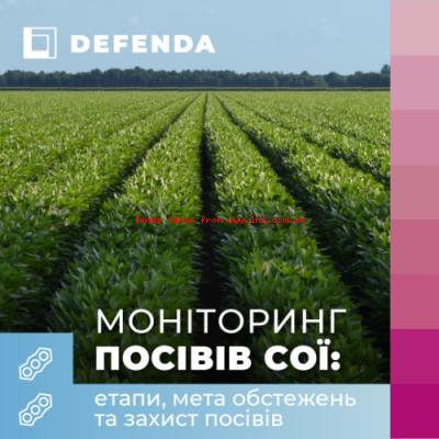 Моніторинг посівів сої: етапи, мета обстежень та захист посівів