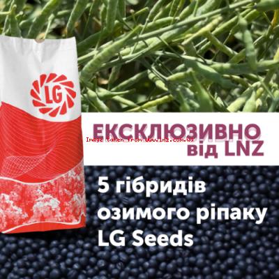 Стійкі до найнебезпечніших хвороб. Потужні ексклюзивні гібриди вже на ринку