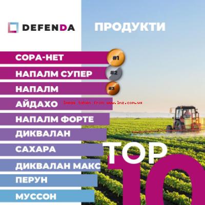 ТОП-10 продуктів від DEFENDA