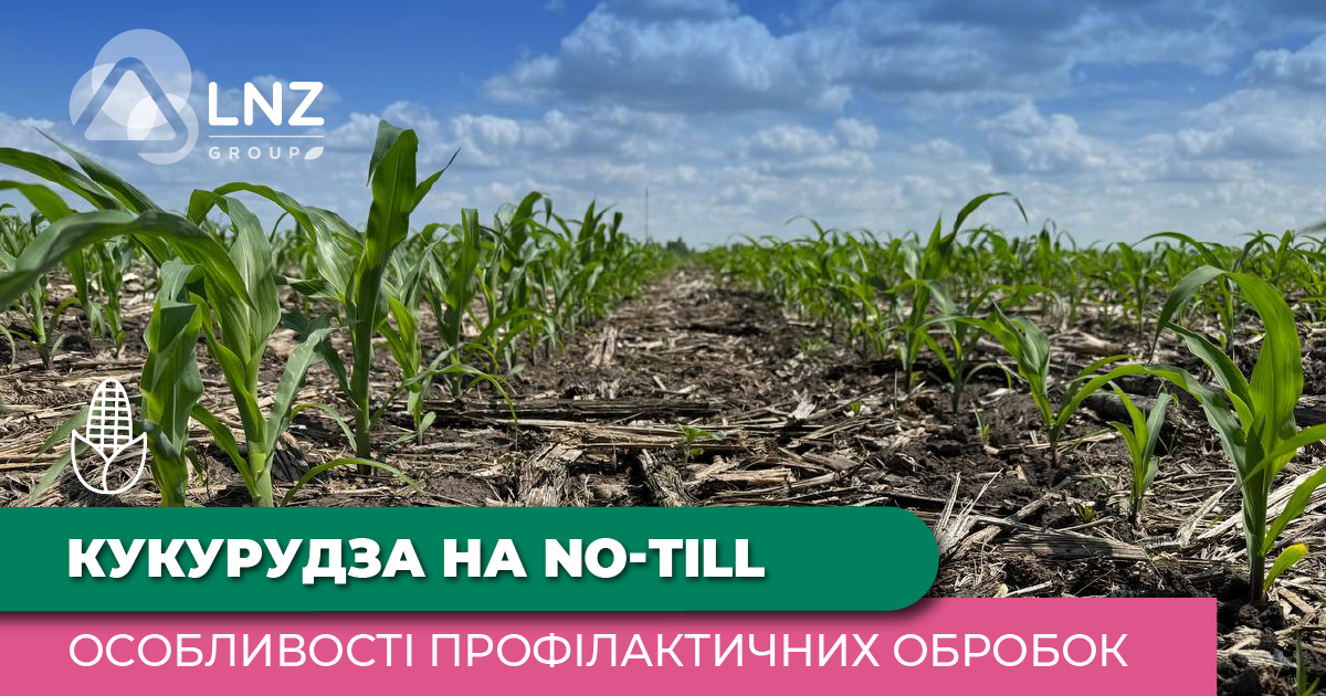 Антикризова економія: Кукурудза на ноутілі — особливості профілактичних обробок фото 1 LNZ Group