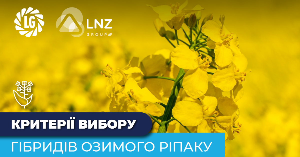 Погодний фактор вимагає нових селекційних рішень: як ексклюзивні гібриди допомагають зберегти урожайність фото 1 LNZ Group