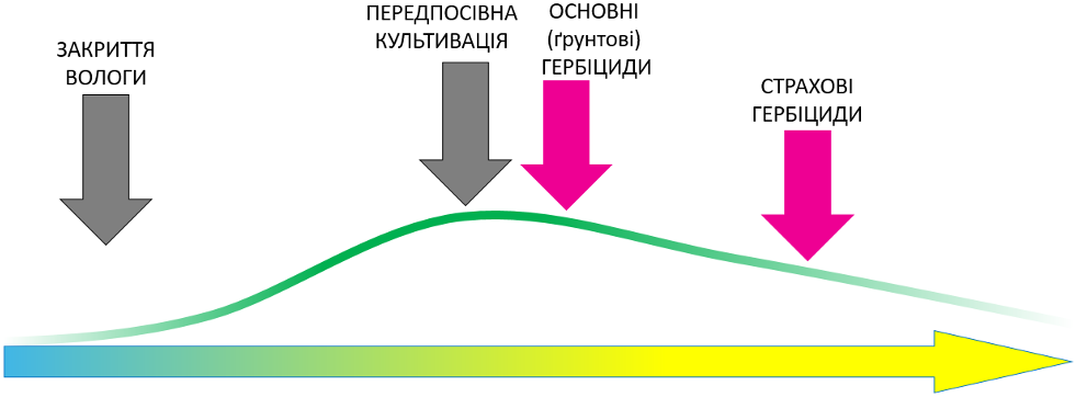 Стратегія контролю бур’янів в умовах змін клімату фото 3 LNZ Group