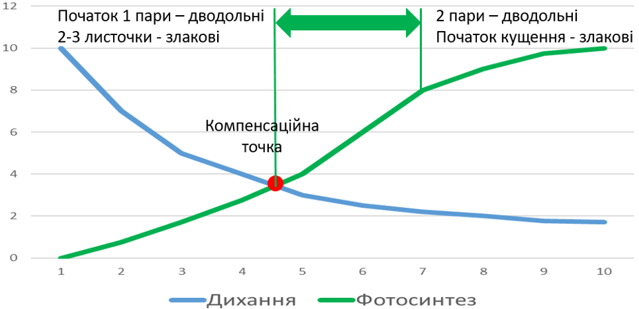 Стратегія контролю бур’янів в умовах змін клімату фото 4 LNZ Group